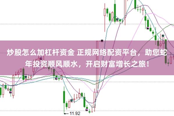 炒股怎么加杠杆资金 正规网络配资平台，助您蛇年投资顺风顺水，开启财富增长之旅！