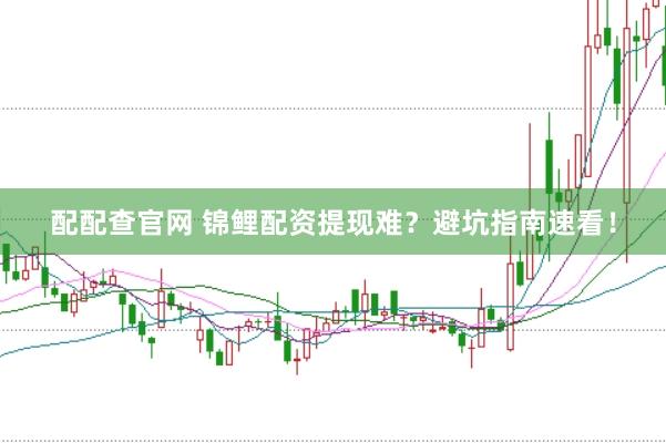 配配查官网 锦鲤配资提现难？避坑指南速看！