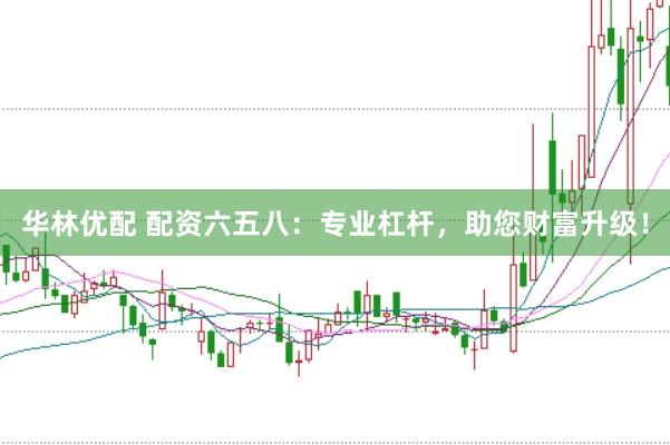 华林优配 配资六五八：专业杠杆，助您财富升级！