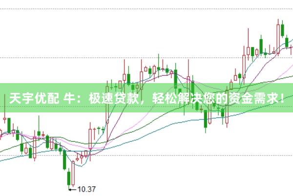 天宇优配 牛：极速贷款，轻松解决您的资金需求！