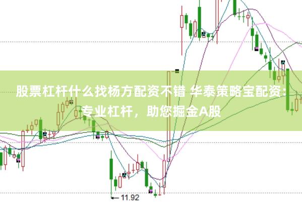 股票杠杆什么找杨方配资不错 华泰策略宝配资：专业杠杆，助您掘金A股