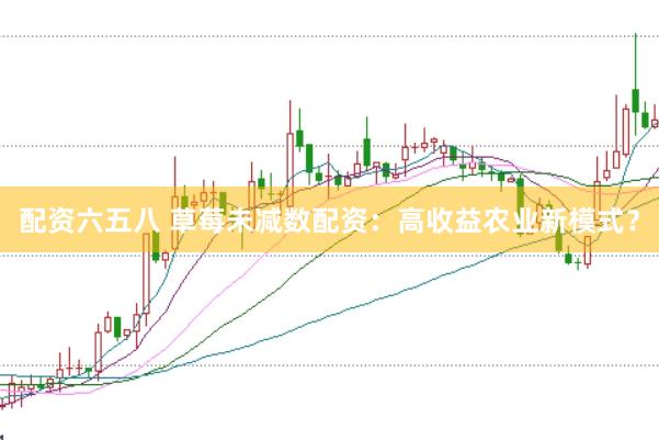 配资六五八 草莓未减数配资:高收益农业新模式?