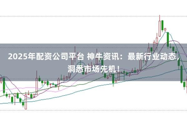 2025年配资公司平台 神牛资讯:最新行业动态,洞悉市场先机!