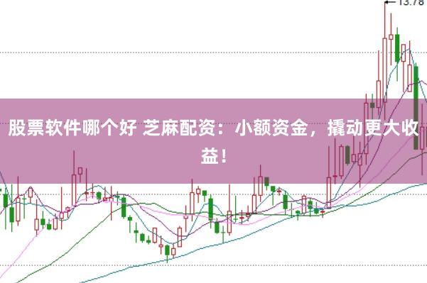 股票软件哪个好 芝麻配资：小额资金，撬动更大收益！