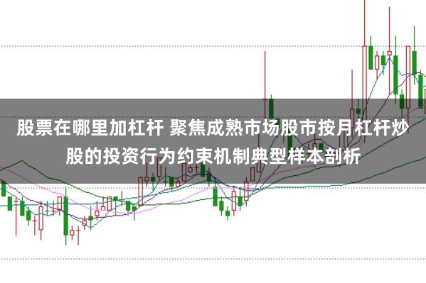 股票在哪里加杠杆 聚焦成熟市场股市按月杠杆炒股的投资行为约束机制典型样本剖析