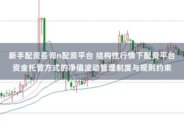新手配资咨询n配资平台 结构性行情下配资平台资金托管方式的净值波动管理制度与规则约束