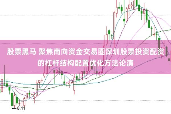 股票黑马 聚焦南向资金交易圈深圳股票投资配资的杠杆结构配置优化方法论演