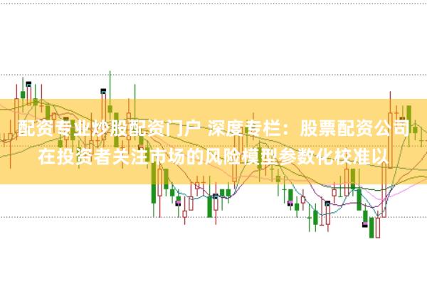 配资专业炒股配资门户 深度专栏：股票配资公司在投资者关注市场的风险模型参数化校准以