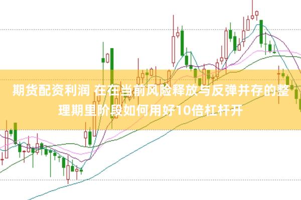 期货配资利润 在在当前风险释放与反弹并存的整理期里阶段如何用好10倍杠杆开
