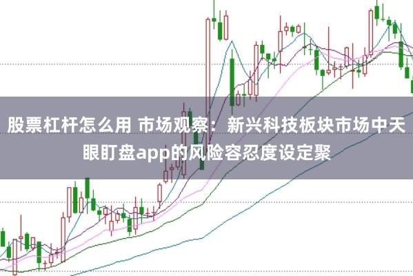 股票杠杆怎么用 市场观察：新兴科技板块市场中天眼盯盘app的风险容忍度设定聚