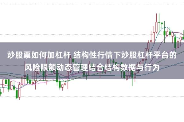炒股票如何加杠杆 结构性行情下炒股杠杆平台的风险限额动态管理结合结构数据与行为