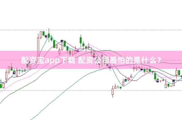 配资宝app下载 配资公司最怕的是什么？