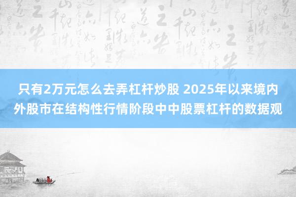 只有2万元怎么去弄杠杆炒股 2025年以来境内外股市在结构性行情阶段中中股票杠杆的数据观