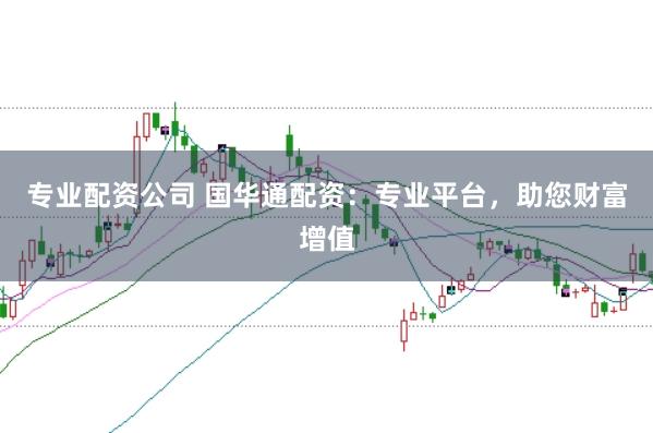 专业配资公司 国华通配资：专业平台，助您财富增值