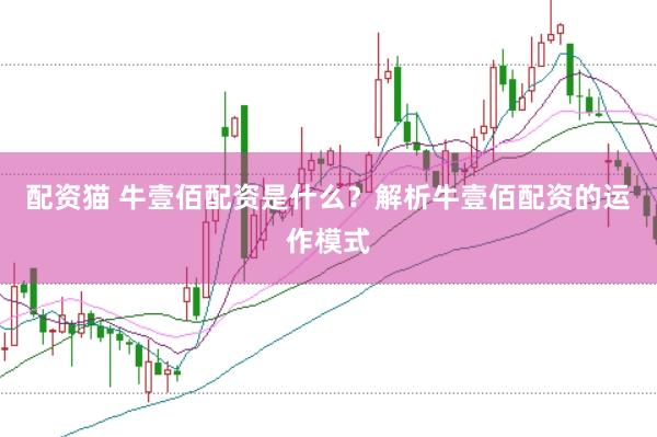 配资猫 牛壹佰配资是什么?解析牛壹佰配资的运作模式