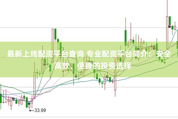 最新上线配资平台查询 专业配资平台简介：安全、高效、便捷的投资选择